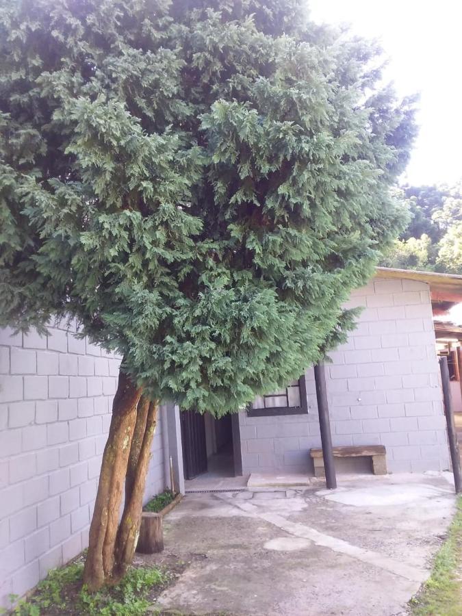 Kitnet Recanto De Campos-Pertinho Do Centro Villa Campos do Jordão Екстериор снимка